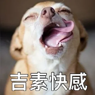 😝 emoji wawa @sticker_everything_bot Telegram sticker 16 of 90