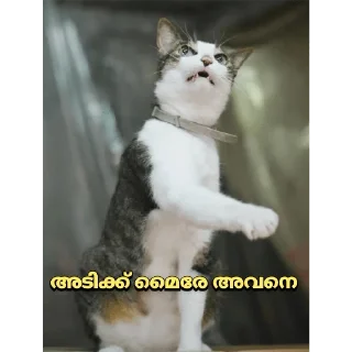 😒 emoji @psybeast Vol.31 Telegram sticker 24 of 120