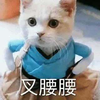 ❤️ emoji 小猫咪    @xiaoyuzaicc Telegram sticker 14 of 120