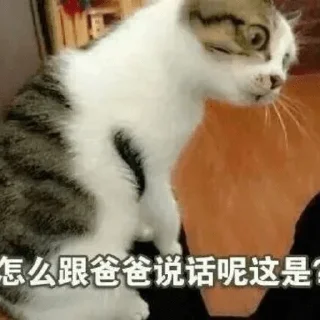 ❤️ emoji 小猫咪    @xiaoyuzaicc Telegram sticker 12 of 120