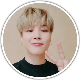 😗 emoji BTS Telegram sticker 13 of 100