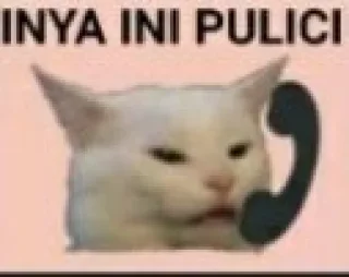 🤘 emoji KUCENG | @DENTANOLEP Telegram sticker 20 of 31