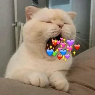 ❤️ emoji 𝗖𝘂𝘁𝗲 @XTYLISH_BABE Telegram sticker 11 of 43