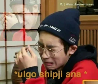 Sticker from MEME SEVENTEEN by @gucciperry