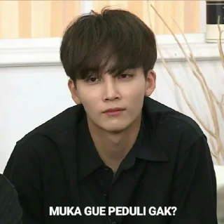 🤣 emoji Seventeen meme Telegram sticker 5 of 15