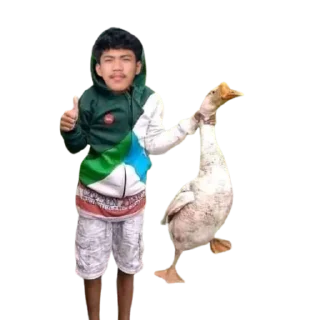 🩳 emoji apaya Telegram sticker 7 of 31