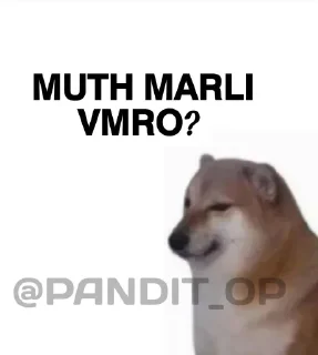 💧 emoji SEXY BOI CHEEMS @PANDIT_OP Telegram sticker 8 of 18