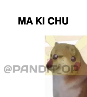 🤪 emoji SEXY BOI CHEEMS @PANDIT_OP Telegram sticker 7 of 18