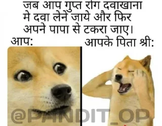 😙 emoji SEXY BOI CHEEMS @PANDIT_OP Telegram sticker 14 of 18
