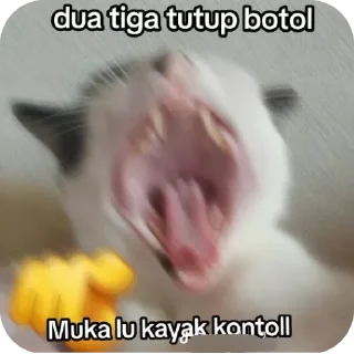 🤲 emoji Stiker i Telegram sticker 18 of 31