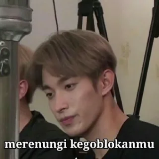 Sticker from Seventeen right here
