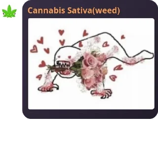 🌺 emoji Weed ka pack 👁️👄👁️ Telegram sticker 21 of 120