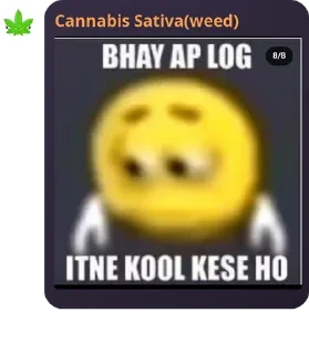 🆒 emoji Weed ka pack 👁️👄👁️ Telegram sticker 14 of 120