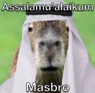 🙏 emoji Masbro Telegram sticker 14 of 39