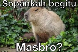 😒 emoji Masbro Telegram sticker 19 of 39