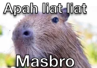 👀 emoji Masbro Telegram sticker 23 of 39