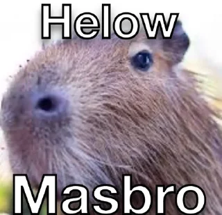 👋 emoji Masbro Telegram sticker 24 of 39
