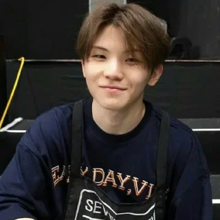 Sticker from woozi random