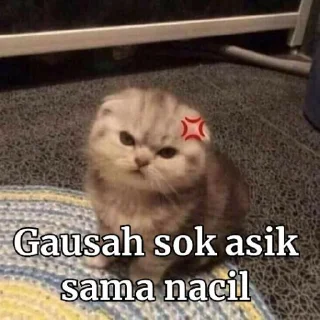 💩 emoji @Toxicalm kece 😎🤟🏻 Telegram sticker 16 of 20