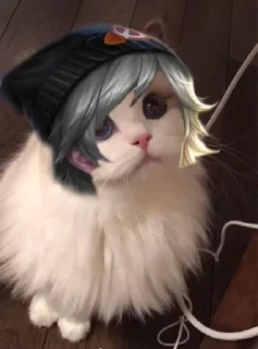 🎭 emoji Kucing AOV Telegram sticker 15 of 40