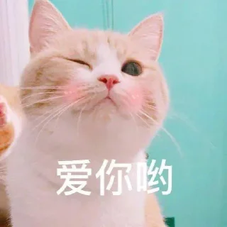 👀 emoji 万博小辣椒专属 Telegram sticker 6 of 116