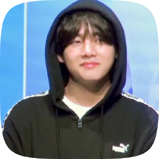 🐯 emoji taehyung 4 @cagulnoona Telegram sticker 11 of 19