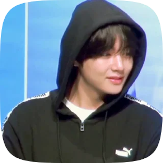 🐯 emoji taehyung 4 @cagulnoona Telegram sticker 12 of 19