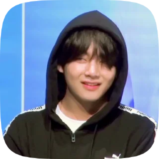 🐯 emoji taehyung 4 @cagulnoona Telegram sticker 6 of 19