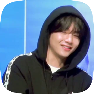 🐯 emoji taehyung 4 @cagulnoona Telegram sticker 14 of 19