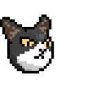 😼 emoji LIHKG Cat Animated (Unofficial) Telegram sticker 15 of 29