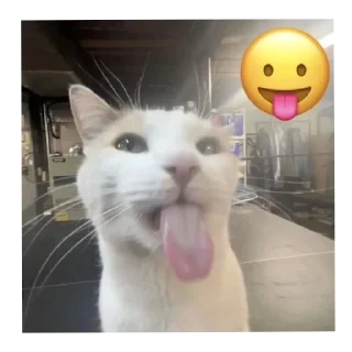 🐱 emoji Punya Jena. @JahminNa Telegram sticker 12 of 117