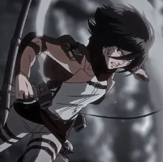 🍂 emoji Mikasa Ackerman Telegram sticker 8 of 58