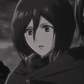 🍂 emoji Mikasa Ackerman Telegram sticker 9 of 58