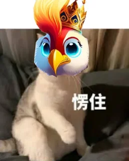 👍 emoji BIBI Telegram sticker 22 of 31