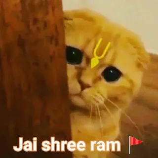 Sticker from Jai shree ram :: @op_sticker
