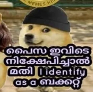 🤑 emoji doge malayalam Telegram sticker 13 of 120
