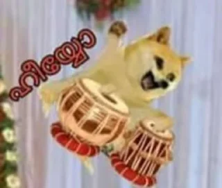 😬 emoji doge malayalam Telegram sticker 21 of 120