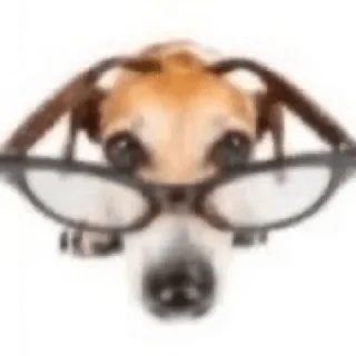 🌟 emoji fandoms | @MittyMintmm Telegram sticker 16 of 108