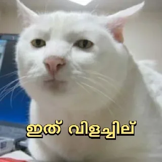 🤨 emoji @Archana_38 Vol 38🦋 Telegram sticker 22 of 74