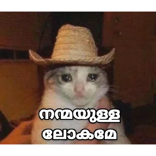 🥺 emoji @Archana_38 Vol.24 Telegram sticker 10 of 82