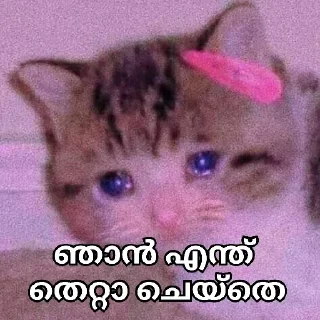 🥺 emoji @Archana_38 Vol.4 Telegram sticker 13 of 120