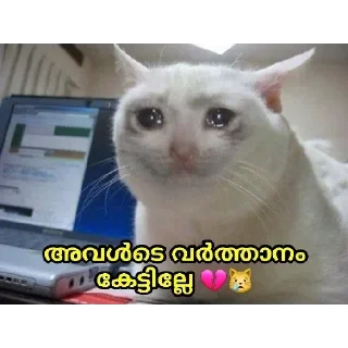 🥺 emoji @Archana_38 Pack 38✨🥂 Telegram sticker 6 of 120
