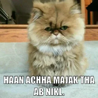 😐 emoji Yash ( text ) Telegram sticker 9 of 67