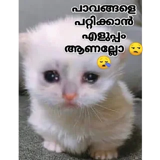 🥺 emoji @BLACKSTORM18's Pack 6 Telegram sticker 20 of 84