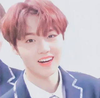 🍰 emoji [doyoung treasure soft] Telegram sticker 18 of 59