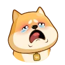 🐕 emoji Akio @GIFbiaoqing Telegram sticker 7 of 43