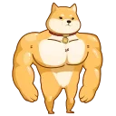 🐕 emoji Akio @GIFbiaoqing Telegram sticker 24 of 43