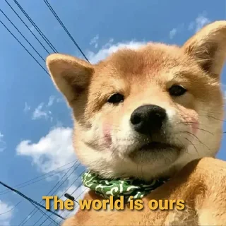 🔜 emoji Global$SHIBA Telegram sticker 9 of 57