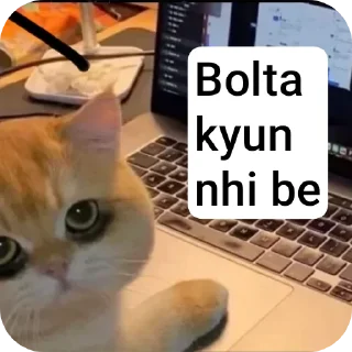 😀 emoji 𝐌𝐫. 𝐂𝐚𝐭 🐱 • @Im_MrCatmew Telegram sticker 23 of 33