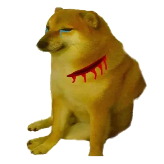 🔪 emoji @Erenyeagerr00 Doge Pack (60) Telegram sticker 11 of 120